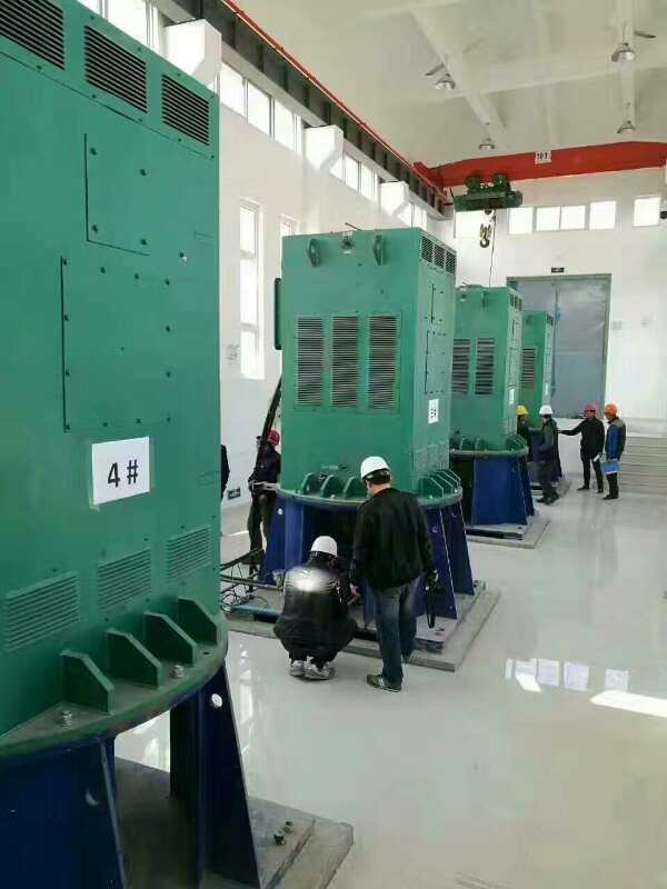 丹东某污水处理厂使用我厂的立式高压电机安装现场